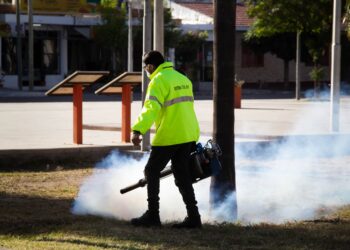 En Rosario Vera Peñaloza se extreman medidas para prevenir casos de dengue