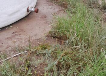 Vecinos del paraje rural El Rosario sin agua por robo de una bomba de agua