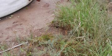 Vecinos del paraje rural El Rosario sin agua por robo de una bomba de agua