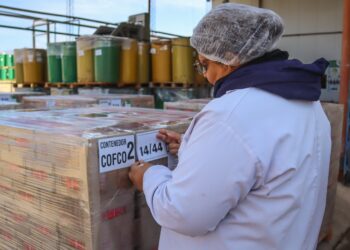 Agroandina exportó tomate cubeteado por primera vez a China