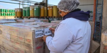 Agroandina exportó tomate cubeteado por primera vez a China