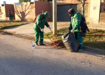El COE continúa la lucha contra el Dengue mediante el trabajo puerta a puerta en toda la ciudad