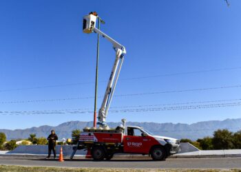 AVANZAN LOS TRABAJOS DE RECAMBIO Y REPOSICIÓN DE LUMINARIAS EN DIVERSOS PUNTOS DE LA CAPITAL