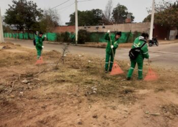 Continúan los trabajos de prevención y eliminación de criaderos en la lucha contra el dengue