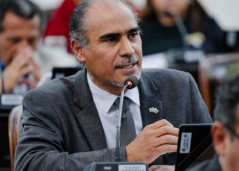 Pedro Goyochea: «Cuando hablamos de reforma constitucional lo que se está definiendo es el perfil del Estado»