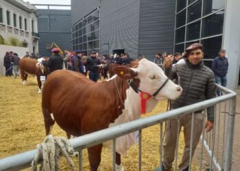 Kayne sumó un nuevo premio en la Expo Rural 2024