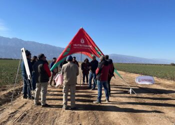 Hortícola Riojana recibió a representantes de Nutriterra para jornada de horticultura