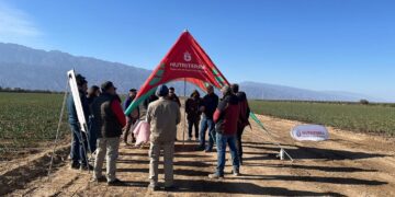 Hortícola Riojana recibió a representantes de Nutriterra para jornada de horticultura