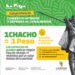Habilitan canales para denuncias y reclamos de usuarios ante irregularidades sobre la recepción de los Chachos