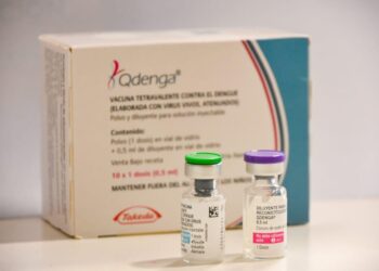 Los primeros días de agosto, La Rioja comenzará a vacunar contra el dengue