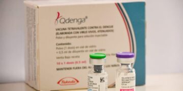 Los primeros días de agosto, La Rioja comenzará a vacunar contra el dengue