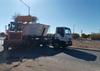 EL MUNICIPIO CAPITAL ERRADICO UN NUEVO MICROBASURAL EN ZONA ESTE