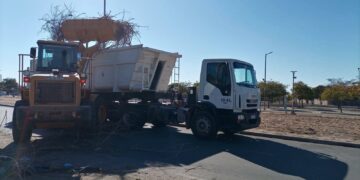 EL MUNICIPIO CAPITAL ERRADICO UN NUEVO MICROBASURAL EN ZONA ESTE