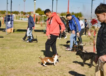 MÁS DE 120 CUIDADORES Y SUS PERROS ASISTEN A LA ESCUELA MUNICIPAL DE ADIESTRAMIENTO CANINO.