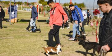 MÁS DE 120 CUIDADORES Y SUS PERROS ASISTEN A LA ESCUELA MUNICIPAL DE ADIESTRAMIENTO CANINO.