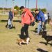 MÁS DE 120 CUIDADORES Y SUS PERROS ASISTEN A LA ESCUELA MUNICIPAL DE ADIESTRAMIENTO CANINO.