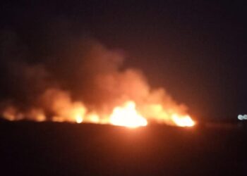 Se extinguió el incendio forestal del Dique de Portezuelo