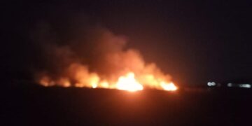 Se extinguió el incendio forestal del Dique de Portezuelo