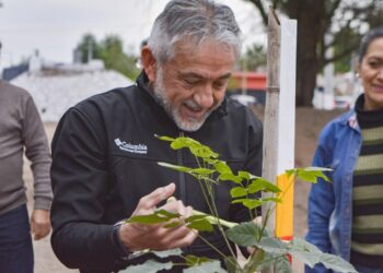 EL ARBOLADO COMO POLÍTICA DE ESTADO PARA COMBATIR EL CAMBIO CLIMÁTICO Y CREAR NUEVOS PULMONES VERDES