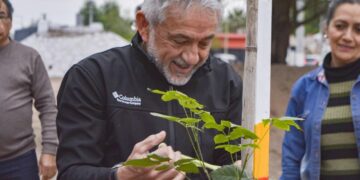 EL ARBOLADO COMO POLÍTICA DE ESTADO PARA COMBATIR EL CAMBIO CLIMÁTICO Y CREAR NUEVOS PULMONES VERDES