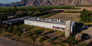 Agrogenética fue protagonista de la primera exportación argentina de cannabis medicinal