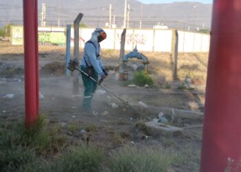 Manzanas saludables continúa trabajando en la prevención del dengue