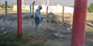 Manzanas saludables continúa trabajando en la prevención del dengue