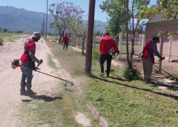 Se realizaron tareas de limpieza y desmalezamiento en 40 establecimientos educativos