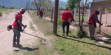 Se realizaron tareas de limpieza y desmalezamiento en 40 establecimientos educativos