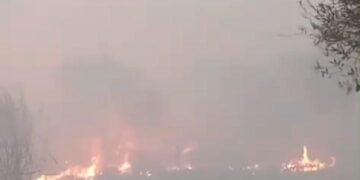 Se encuentra contenido un incendio forestal en San Blas de los Sauces