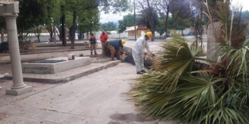Después de la intensa lluvia distintas áreas trabajan para recuperar la ciudad