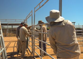 Remate de Cabañas Riojanas: la provincia se prepara para la tercera edición del evento ganadero más importante de la región