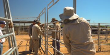 Remate de Cabañas Riojanas: la provincia se prepara para la tercera edición del evento ganadero más importante de la región