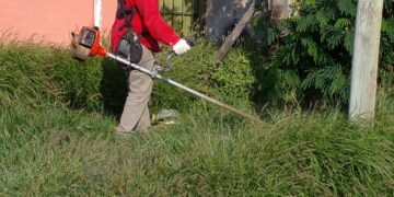 El Gobierno de la Provincia junto al Municipio de Capital continúan trabajando en la prevención del dengue