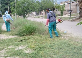 El Gobierno de la Provincia continúa trabajando sobre la prevención del dengue en la zona Este de la Capital