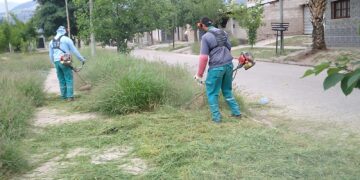 El Gobierno de la Provincia continúa trabajando sobre la prevención del dengue en la zona Este de la Capital
