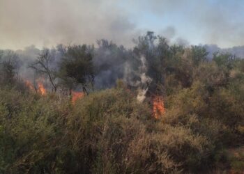 Reportan incendio forestal de magnitud media en Pagancillo