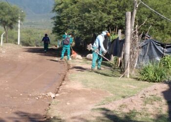 La provincia avanza en la lucha contra el mosquito vector del dengue