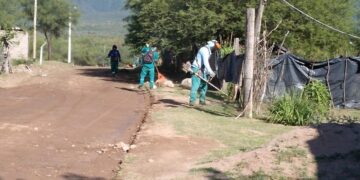 La provincia avanza en la lucha contra el mosquito vector del dengue