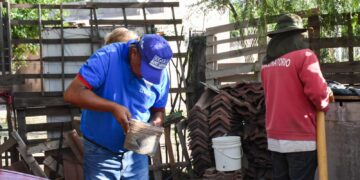 Continúa la búsqueda activa en los barrios de la Capital