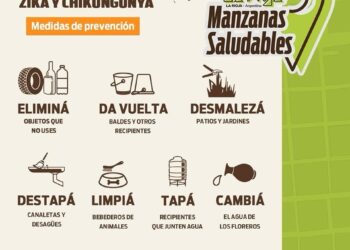 Dengue: La prevención comienza en casa