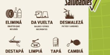 Dengue: La prevención comienza en casa