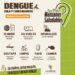 Dengue: La prevención comienza en casa