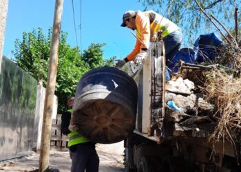 El Comité Estratégico Dengue – Manzanas Saludables redobla esfuerzos preventivos contra el dengue en la ciudad Capital