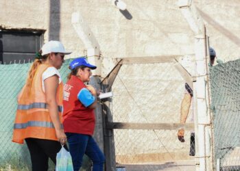 El Comité Estratégico Dengue-ManzanasContinúan las tareas en barrios Francisco II, Alunai, Puerta de la Quebrada y Joya del Velasco