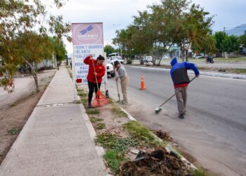 EL MUNICIPIO EFECTUÓ UN NUEVO OPERATIVO DE LIMPIEZA EN ZONA SUR