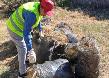 El Comité Estratégico Dengue-Manzanas Saludables refuerza la campaña de prevención en el barrio Francisco II