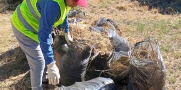 El Comité Estratégico Dengue-Manzanas Saludables refuerza la campaña de prevención en el barrio Francisco II