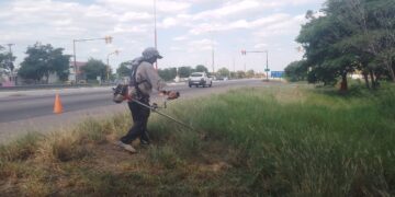 Continúa la prevención del dengue en las avenidas Monteagudo y Juan Manuel de Rosas