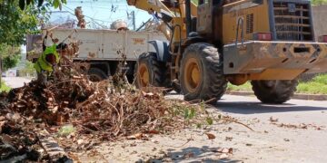 Culminan con los trabajos preventivos contra el dengue y la recuperación de espacios públicos en el barrio Loteo San Andrés